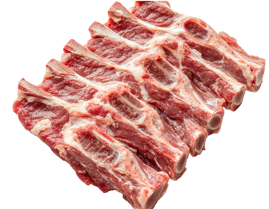 ريش 